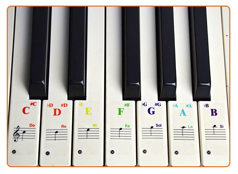 Étiquette piano 61 touches